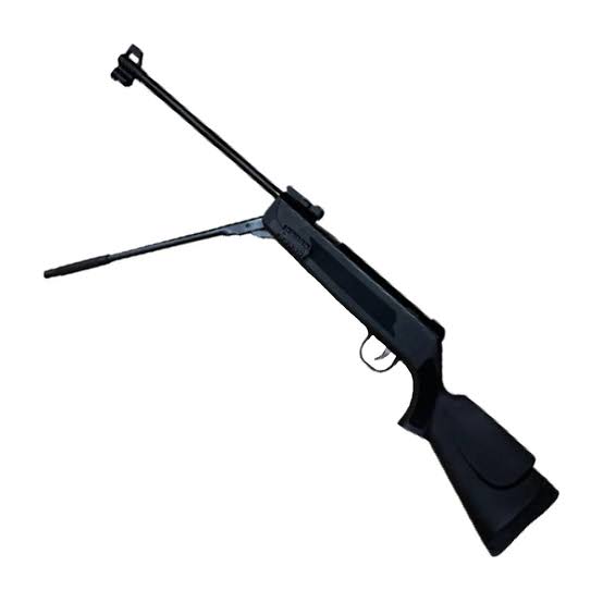 AIRE COMPRIMIDO 5.5 HUNTER 600P