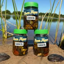 ENVASADOS BUEN PIQUE CARACOLES EN ACEITE