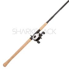 COMBO ABU GARCIA PERFIL BAJO GRANDE + CAÑA MAX TORO